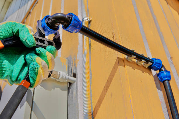 Best Affordable Plumbing Services  in Pima, AZ